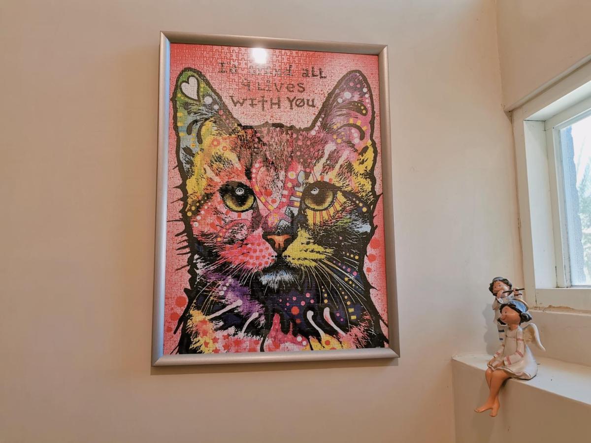 Yilan Beitou No.117 Bed & Breakfast La Đông Ngoại thất bức ảnh